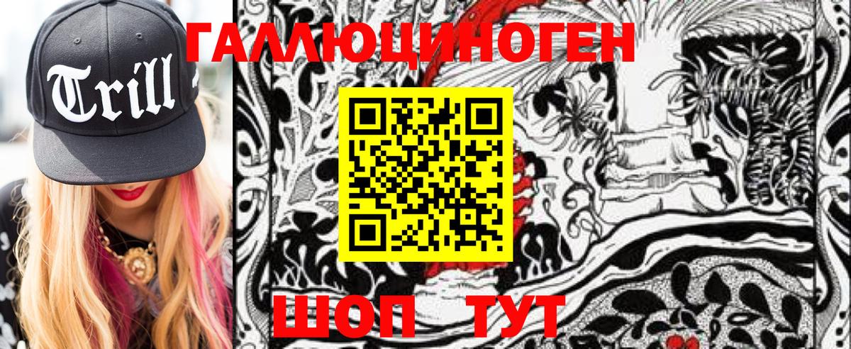 Псилоцибиновые грибы Psilocybe Иваново